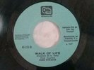 DIRE STRAITS Walk of Life RARE PRIVATE PROMO 7