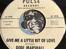DODI MARSHALL Garage Rock 45 Give Me A Little Bit Of Love / Long Hair Short Hair