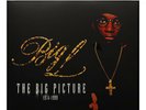 NEW Big L - The Big Picture Exclusive Limited Clear With White Smoke 2x Vinyl LP