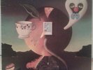 Nick Drake Pink Moon 1972 second pressing