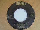 THE DREAMERS I'm Gonna Be Alright NUGGET Florida Rockabilly 45 HEAR