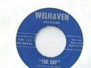 THE STING RAYS Shaggy Dog / The Cat 45 RECORD RARE PRIVATE MN SURF GARAGE ROCK