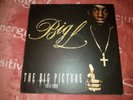 Big L The Big Picture Lp