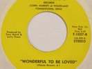 ICE COLD LOVE Wonderful To Be Loved / Sheer Magic TAMMY 45 sweet soul HEAR