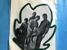 The Leaves-Hey Joe-7