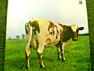 PINK FLOYD Atom Heart Mother RARER UK 1973 HARVEST QUAD ISSUE + INNER. NM vinyl