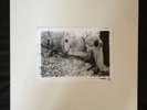 Sunn O))) ?White LP Box Set