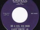 WEIRDO WEST TX COUNTRY E-Ray Smith, Jr. - Be a Big, Big Man / Roswell | hear