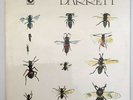 Syd Barret LP BARRETT Auf Harvest Erste Pressung UK 1970