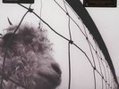 PEARL JAM - Vs. [180 gr. LP Music On Vinyl]