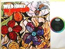 BEACH BOYS - Wild Honey - '67 Capitol label *MONO* EX/NM vinyl LP - G2/G2