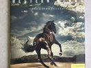Western Stars Bruce Springsteen Web Exclusive Blue/Black Colored Vinyl 2LP