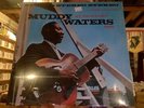 Muddy Waters At Newport 1960 LP sealed 180 gm blue colored vinyl reissue