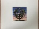 Talk Talk - Laughing Stock - Vinyl LP - 1991 - Original - EU UK VERVE 847 717-1