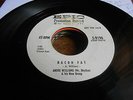 Andre Williams R&B DETROIT 45 Bacon Fat / Just Because of a Kiss  DJ DEMO ISSUE