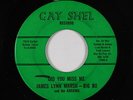 Northern R&B/Deep Soul 45 - James Lynn Marsh - Do What You Want - Gay Shel - mp3
