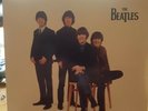 The Beatles Real Love 7in Vinyl Record