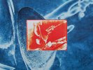 Dire Straits - On Every Street (12