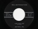 Sweet Soul/Funk 45 - Ash Soul, Inc. - I Do Love You - Soul Ash - mp3 - rare