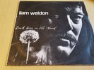 LIAM WELDON - Dark Horse On The Wind - IRISH FOLK TRAD LP 1976 MULLIGAN RECORDS