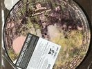 black moth super rainbow “Dandelion Gum” New 2007 Vinyl Picture Disc
