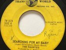 GARAGE PUNK The Haunted SEARCHING FOR MY BABY Trans World 45 rare Canadian