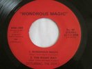 Rare Texas New Wave 33 Rpm Ep Disturbing The Peace Wondrous Magic