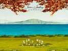 Joan Shelley Like River Loves The Sea Vinyl LP Record w/ bonnie prince billy NEW