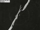 Depeche Mode BLASPHEMOUS RUMOURS Australian PICTURE Sleeve RARE 7