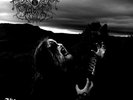 Drowning The Light ?– The Serpents Reign  Vinyl, LP, Album, Clear Milky