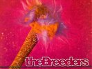 The Breeders - Divine Hammer (10