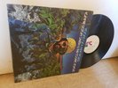 LONNIE LISTON SMITH Visions Of A New World FLYING DUTCHMAN