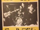 Sex Pistols Never Trust A Hippy Vinyl LP RARE