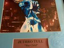 JETHRO TULL WAR CHILD SIGNED BY IAN ANDERSON WITH COA FRAMED / JACKET ONLY