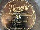 Herwin 75571 Wyzee Hamilton BECAUSE HE WAS ONLY A TRAMP   78rpm COUNTRY  G+ 1927