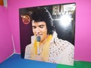 Elvis Presley:12