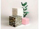 NEW - Jungle Giants (The), Quiet Ferocity