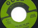 Phenomenal Sweet - CANDI-BARS - You Are The One - Gule