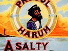 A Salty Dog Deluxe
