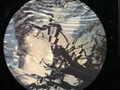 BAUHAUS BURNING FROM THE INSIDE  RARE Vinyl Record Picture Disc
