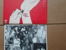White Flag / Feeding Frenzy Vinyl - LP