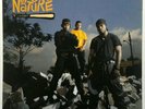 Naughty By Nature Self Titled Hip Hop LP VG Vinyl OG US 1991 TB 1044