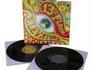 The Psychedelic Sounds Of The 13th Floor Elevators [VINYL]