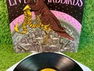 YARDBIRDS LIVE 1971 •TRUE 1st press• WITHDRAWN Jimmy Page Led Zeppelin psych