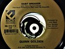 Quinn Golden 45 Shag Beach Classic 1998 Habit Breaker If You Don't Love Me Mint-