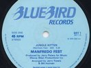 Manfredo Fest - Jungle Kitten (12