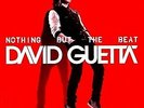 Nothing But The Beat - GUETTA DAVID [2x LP]