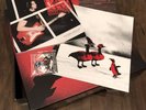 The White Stripes Vault 33 Icky Thump X Box, Pin, Book And Print ONLY Third Man