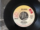The Rolling Stones  WILD HORSES Leon Russell - SAMPLE