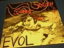 Sonic Youth - EVOL orig. vinyl LP (1986, Blast First), EX cond.